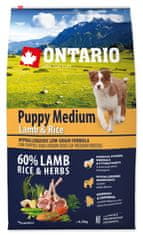 Ontario Puppy Medium Lamb & Rice 6,5kg