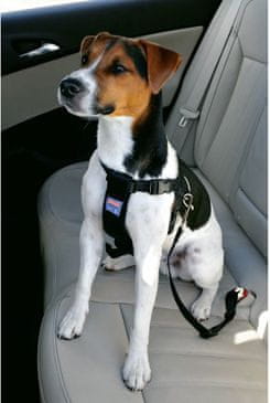 Zolux Postroj pes Bezpečnostné do auta M
