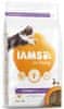 IAMS Cat Kitten Chicken 2 kg