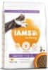 IAMS Cat Kitten Chicken 10 kg