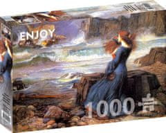 ENJOY Puzzle Miranda v Búrke 1000 dielikov