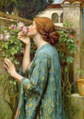 ENJOY Puzzle John William Waterhouse: Duša ruže 1000 dielikov