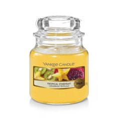 Yankee Candle vonná sviečka Tropical Starfruit (Tropická karambola) 104g