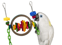 Parrotclub Hračka pre papagáje a vtáky Busy Beaks 20cm