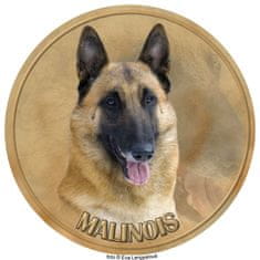 saxun nálepka Belgický ovčiak Malinois