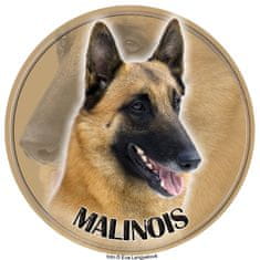 saxun nálepka Belgický ovčiak Malinois