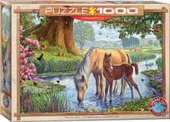 EuroGraphics Puzzle Fellskí poníky 1000 dielikov