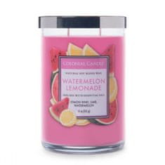 AB LINE 33008FA Vonná sviečka Watermelon lemonade