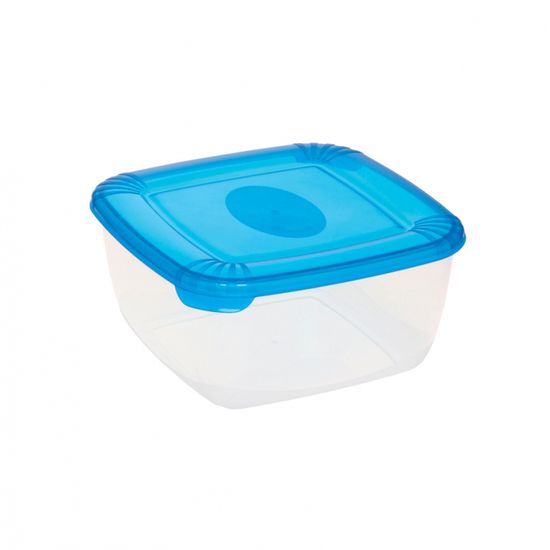 Plast Team 25765PM Polar box 2,5 l