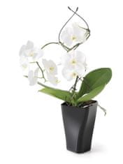 Prosperplast Nohel záhradný kvetináč na orchideu 12x30 cm - hnedý