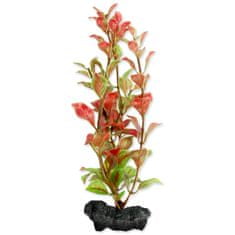 Tetra Rostlina Red Ludwigia S - KARTON (36ks) 1 ks