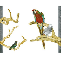 Parrotclub Bidlo pre papagáje a vtáky Kávovníkové bidlo XS