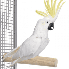 Parrotclub Bidlo pre papagáje a vtáky Bidlo z kávovníka rovné XL