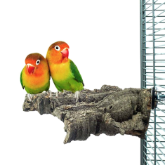 Parrotclub Bidlo pre papagáje a vtáky Posedenie z korkového dreva M