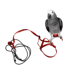 Parrotclub Traky pre papagáje a vtáky červené M
