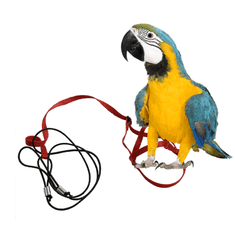 Parrotclub Traky pre papagáje a vtáky červené L