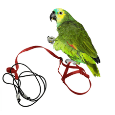 Parrotclub Traky pre papagáje a vtáky S červené