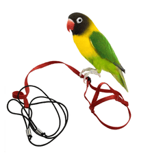 Parrotclub Traky pre papagáje a vtáky červený XXS