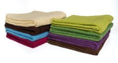 FARO Textil Bavlnený uterák Hera 50x100 cm I fialový