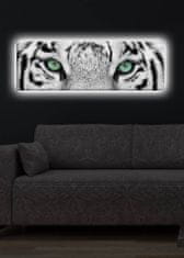 Hanah Home Obraz s led osvetlením White Tiger 90x30 cm