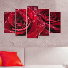 Hanah Home Viacdielny obraz Rojo Manto 110x60 cm