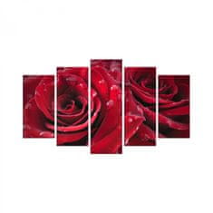 Hanah Home Viacdielny obraz Rojo Manto 110x60 cm