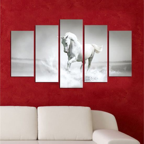 Hanah Home Viacdielny obraz White Horse 110x60 cm