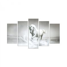 Hanah Home Viacdielny obraz White Horse 110x60 cm