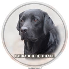 saxun nálepka Labrador retriever