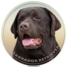 saxun nálepka Labrador retriever