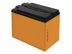 Green Cell CAV01 LiFePO4 Battery 12.8V 42Ah for photovoltaic system, campers and boats