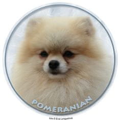 saxun nálepka Pomeranian