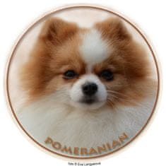 saxun nálepka Pomeranian