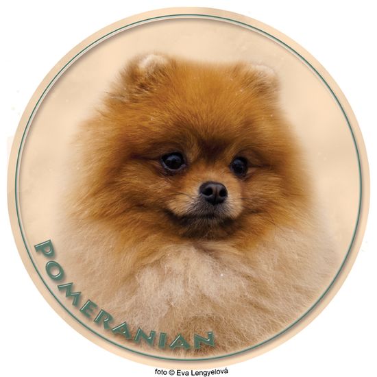 saxun nálepka Pomeranian