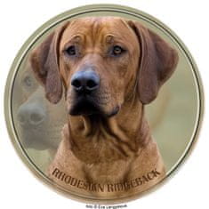 saxun nálepka Rodézsky ridžbek - Rhodesian ridgeback