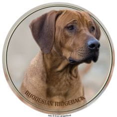 saxun nálepka Rodézsky ridžbek - Rhodesian ridgeback