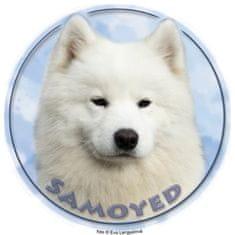 saxun nálepka Samojed