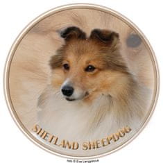 saxun nálepka Šeltia - Shetland Sheepdog