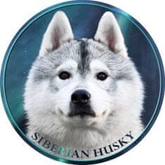 saxun nálepka Sibírsky husky