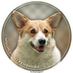 saxun nálepka Welsh corgi pembroke - korgi