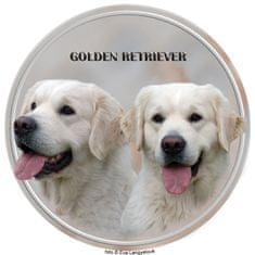 saxun nálepka Zlatý retríver - Golden retriever