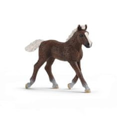 Schleich 13899 Zvieratko - žriebä Schwarzwaldské