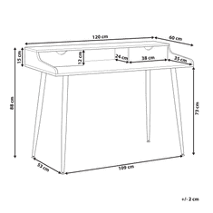 Beliani Písací stôl svetlé drevo 120 x 60 cm LENORA