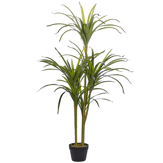 Beliani Umelá rastlina v kvetináči 147 cm DRACAENA ANITA