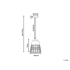 Beliani Kovová závesná lampa čierna/medená MONTE