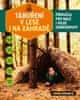 Frank Grindrod: Táboření v lese i na zahradě - Příručka pro malé i velké dobrodruhy