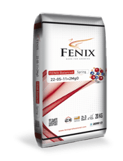 AGRO CS FENIX Balanced Spring 22-05-11+2MgO 20 kg