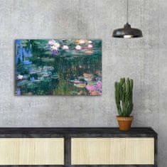 Hanah Home Obraz WATER LILIES, od C. MONETA 45x70 cm