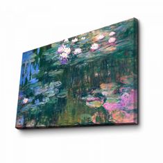 Hanah Home Obraz WATER LILIES, od C. MONETA 45x70 cm