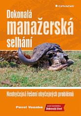 Pavel Vosoba: Dokonalá manažerská selhání - Neobyčejná řešení obyčejných problémů